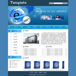 软件企业网站建设